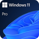 Windows 11 pro